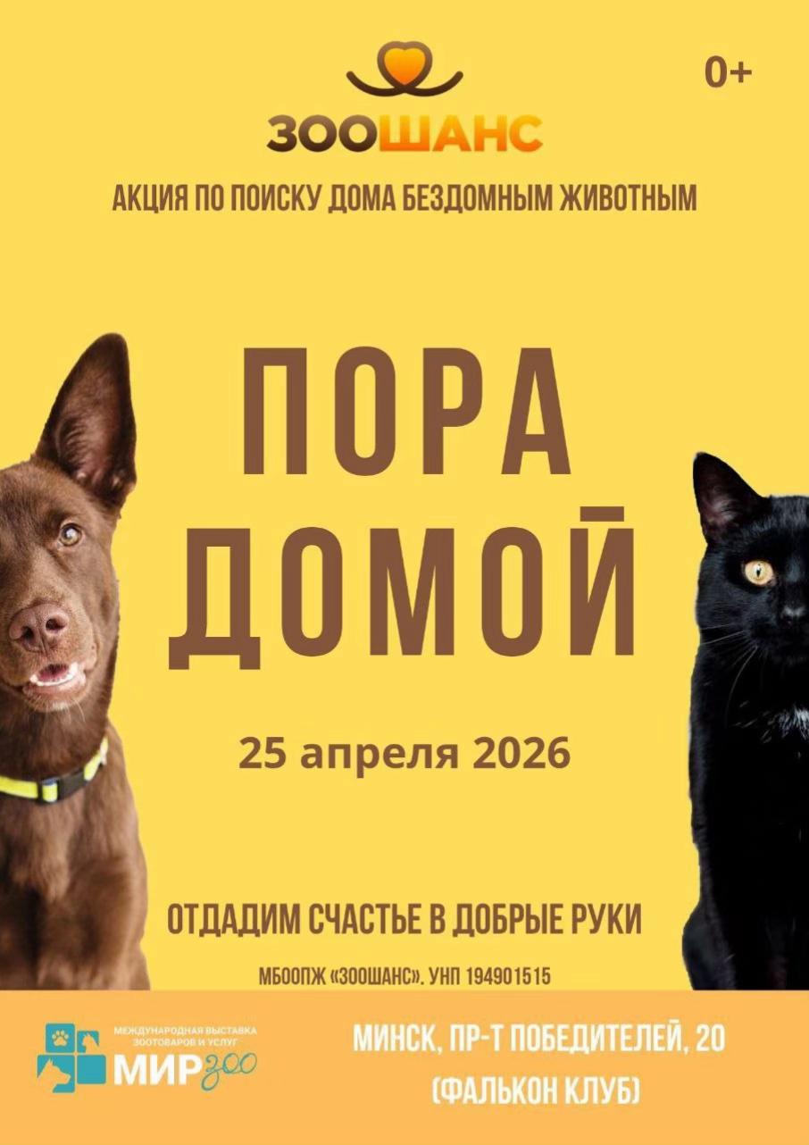 @ЗООшанс