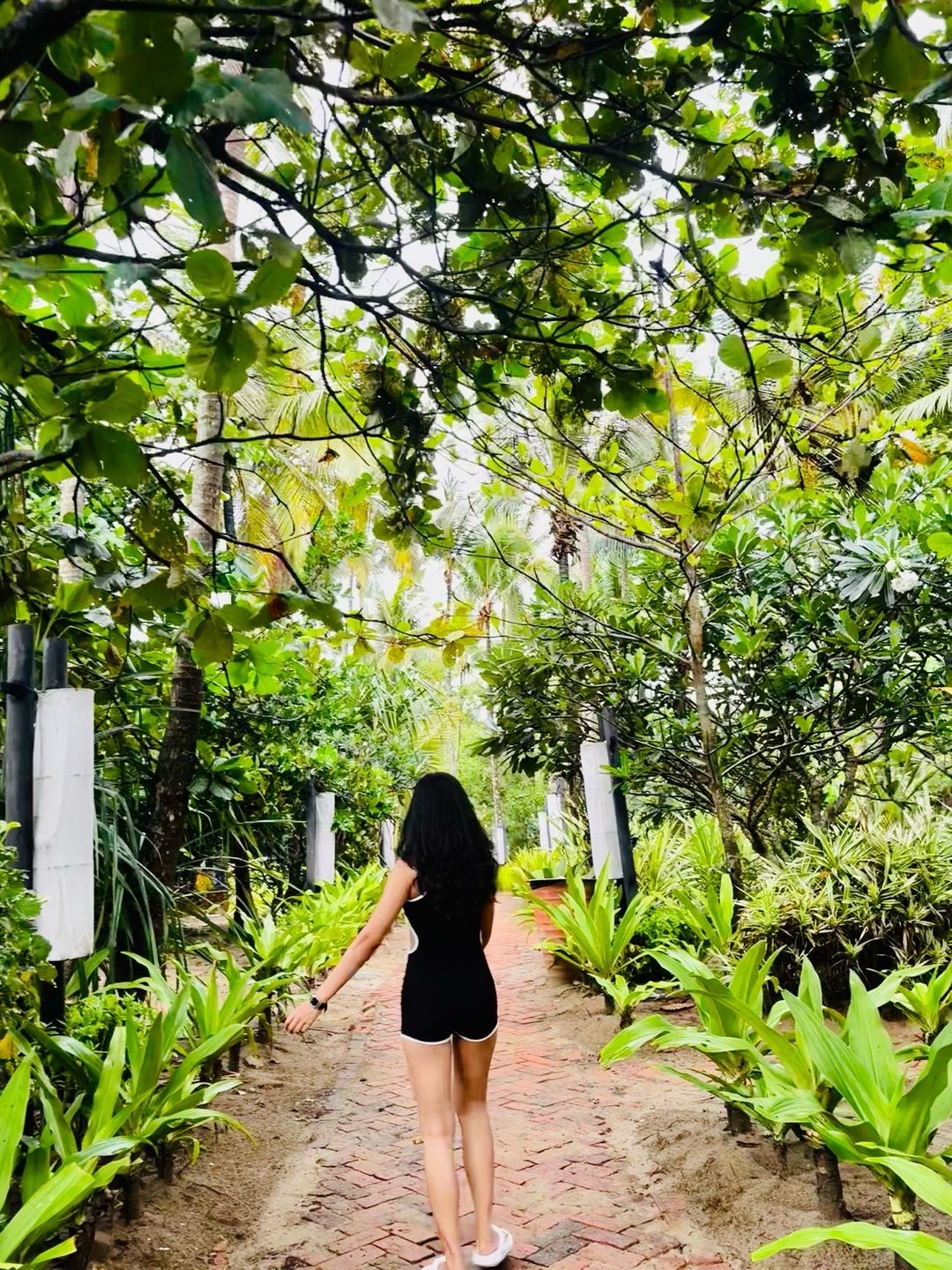 @poam✨