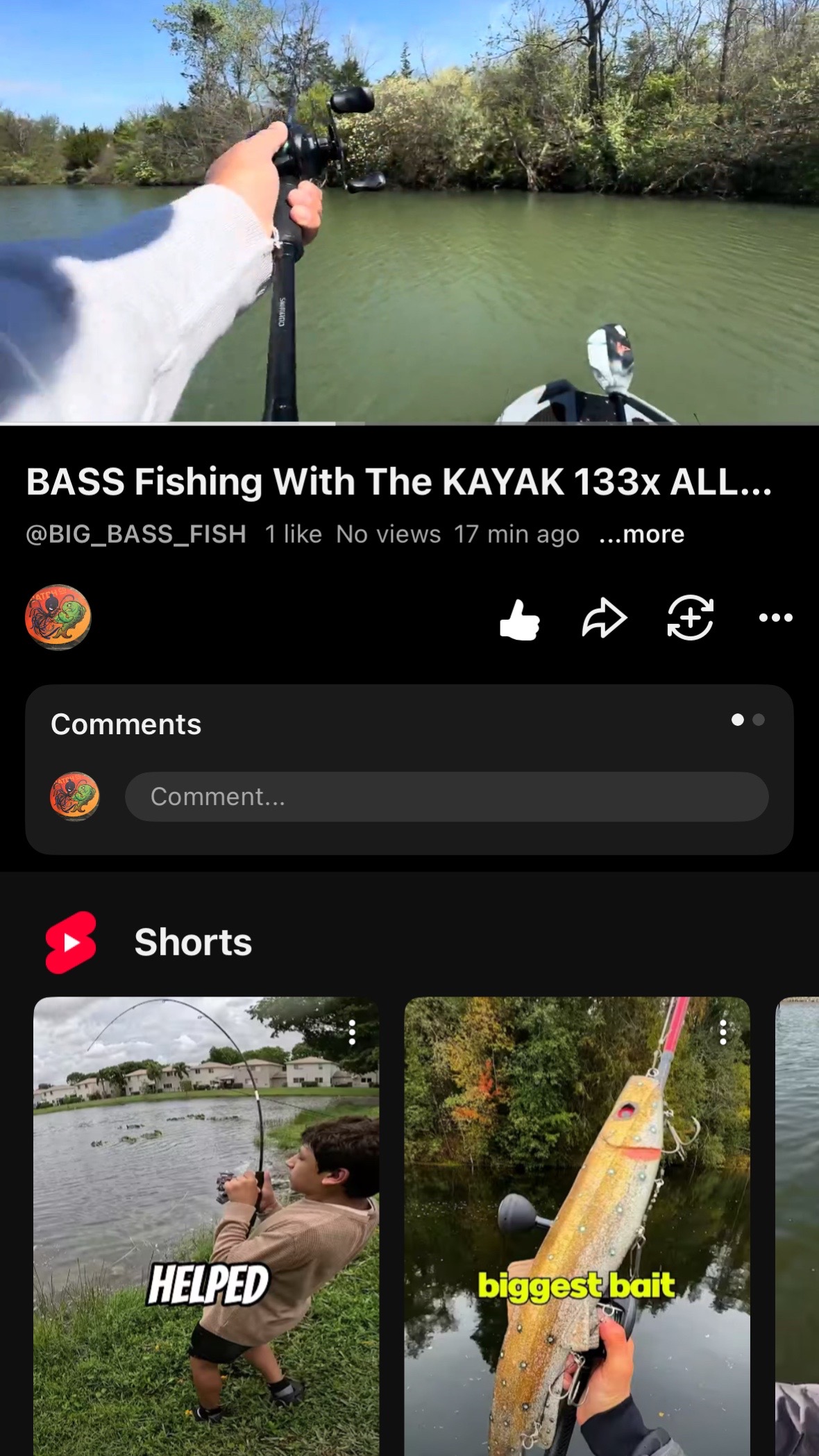 @BigBassFish