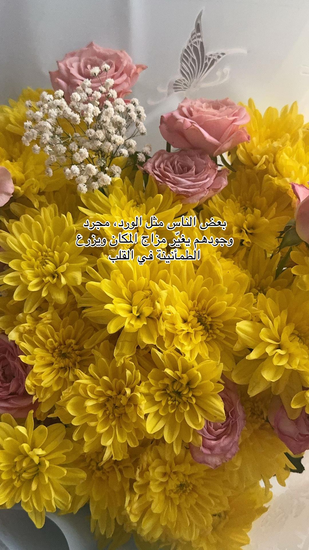 @Foz Abha 🕊️🤳🏻موثوق