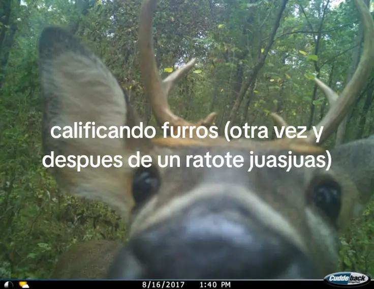 @keej