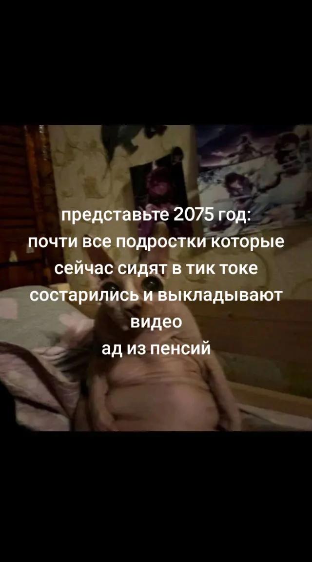 @скрр пау пау