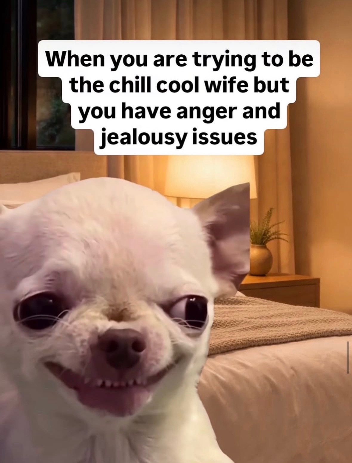 @mysteryladysmile1