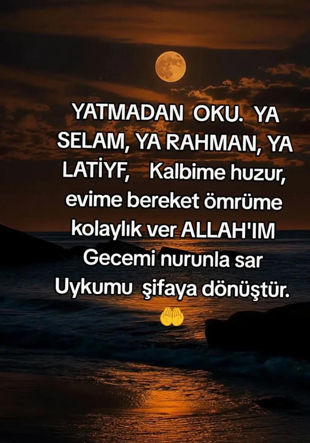 @Raziye Erim