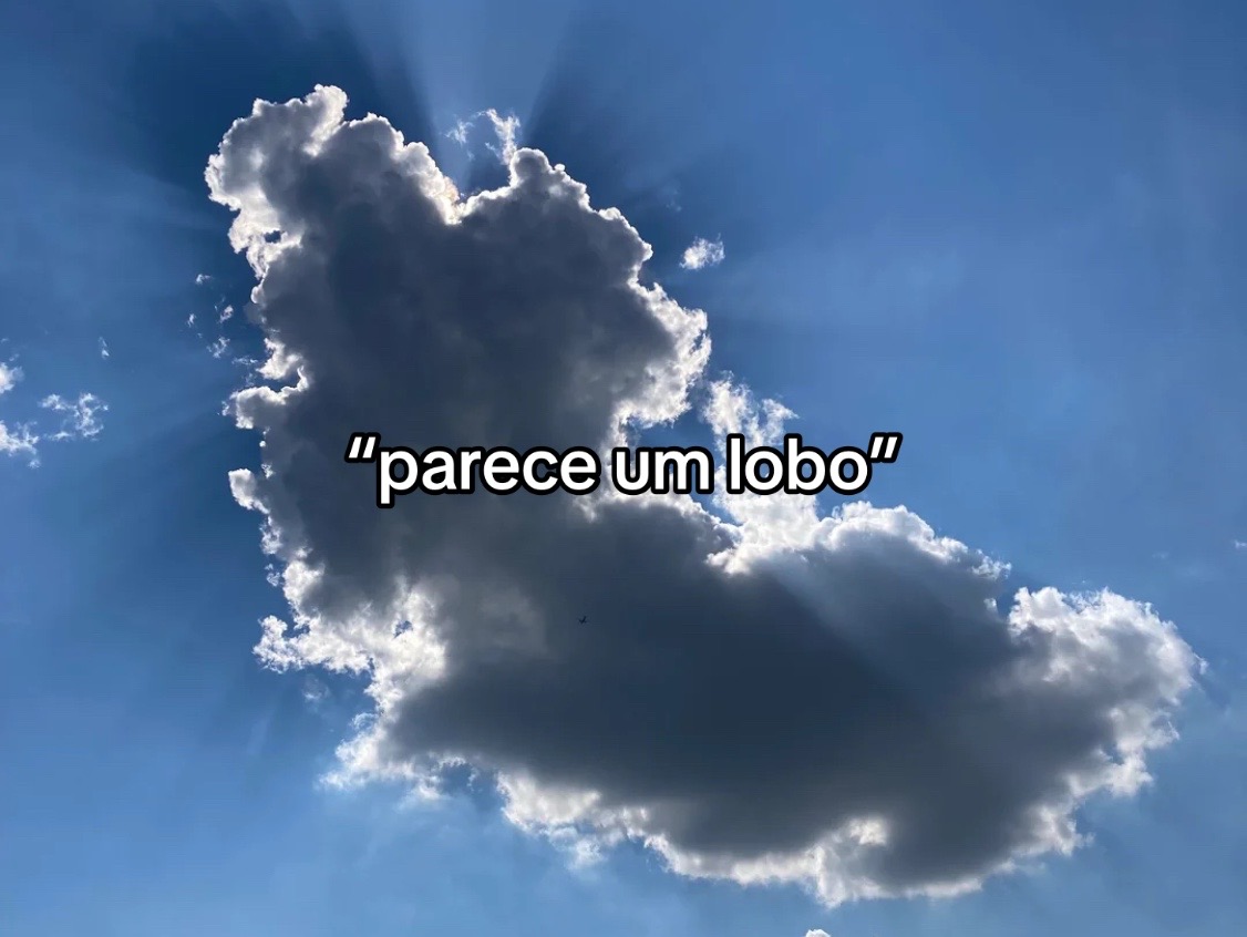 @𝓍𝒶𝓃𝒹𝒾 ♱ ™