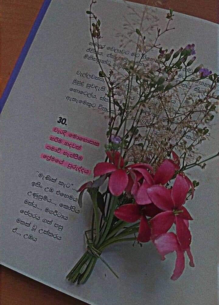 @𝗠𝗮𝗹𝘇𝘇.🪬🤍