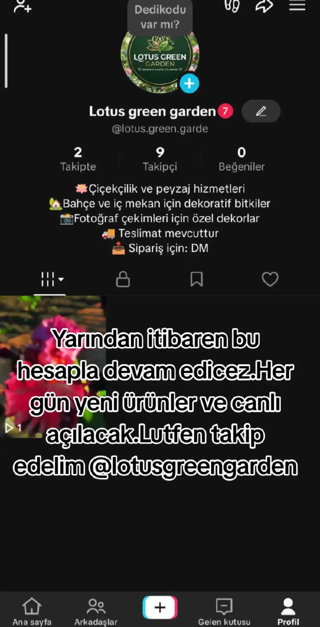 @Lotus bitki satışı