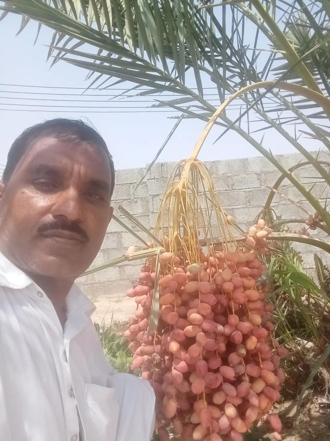 @Ashfaq196