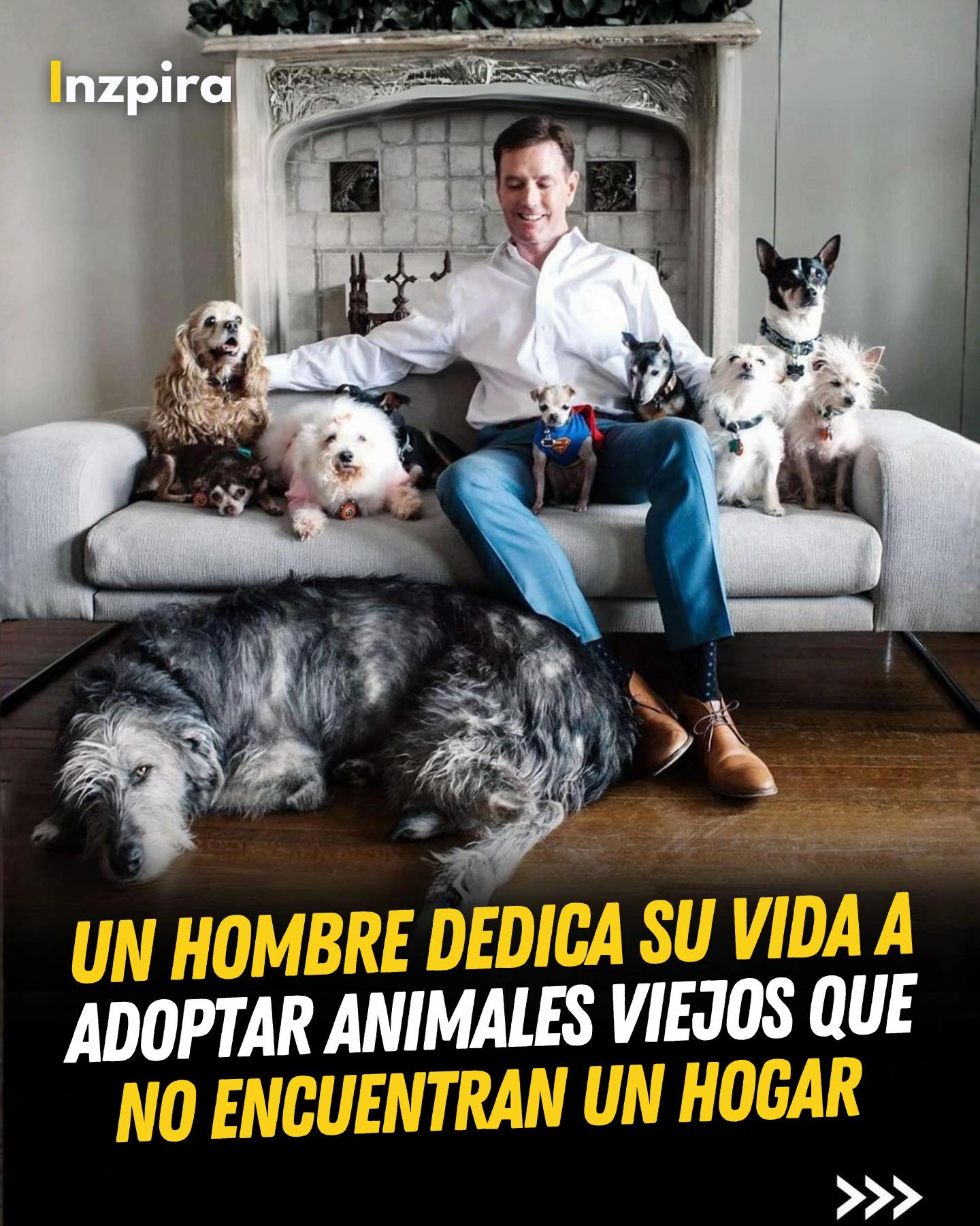 @inzpira.oficial