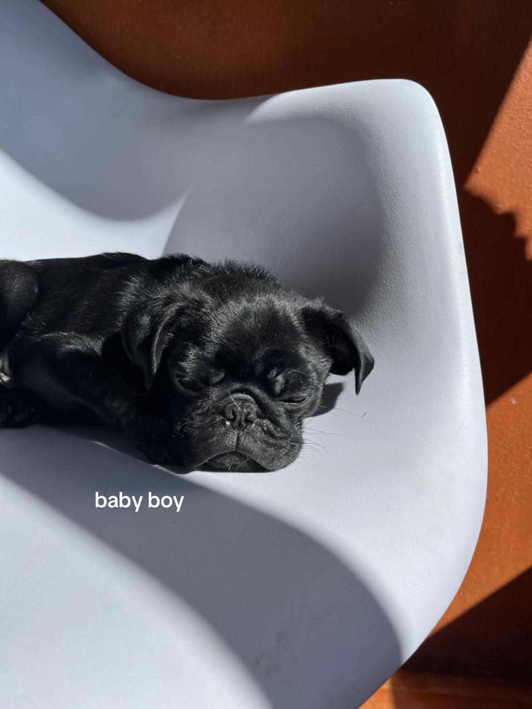 @missing zouis
