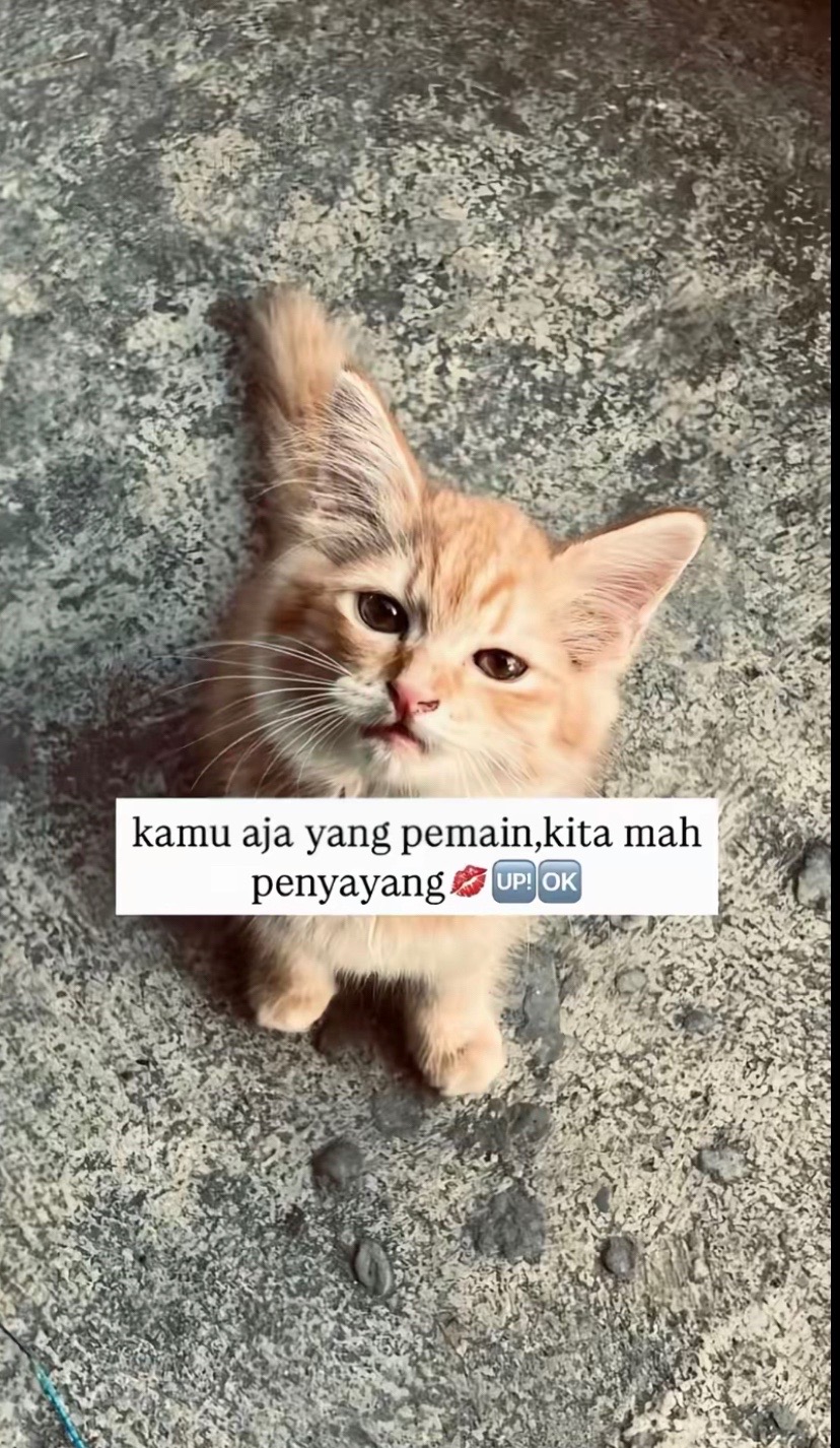 @Anammmmm_