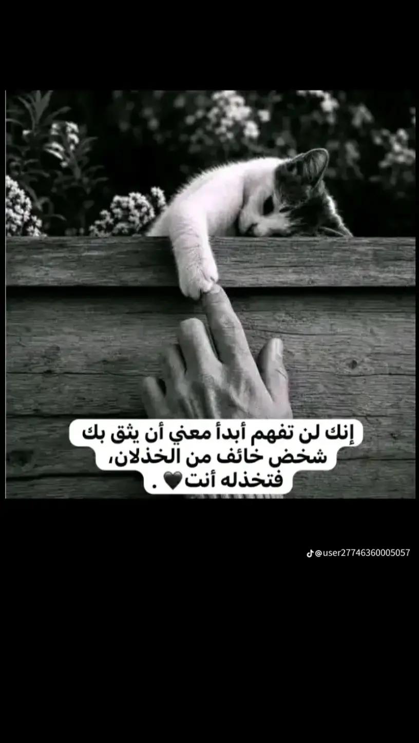 @mouna mouna
