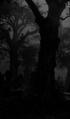 @Salem🕷️