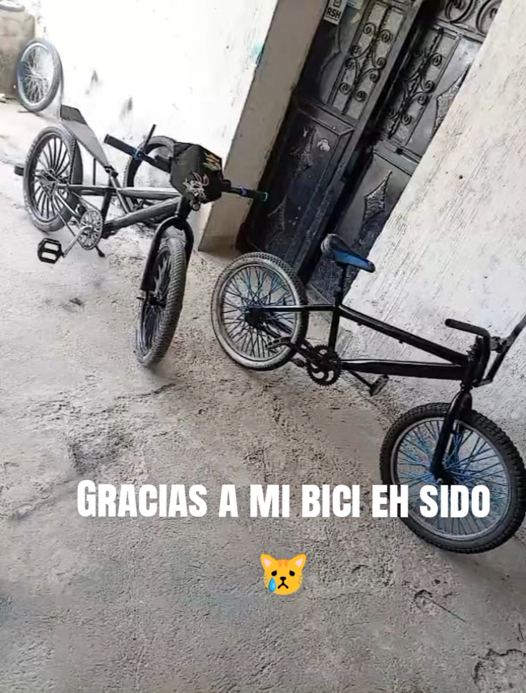 @ℭ𝔯𝔦𝔰_ᴋᴛᴘᴜʟsᴀʀ🔥