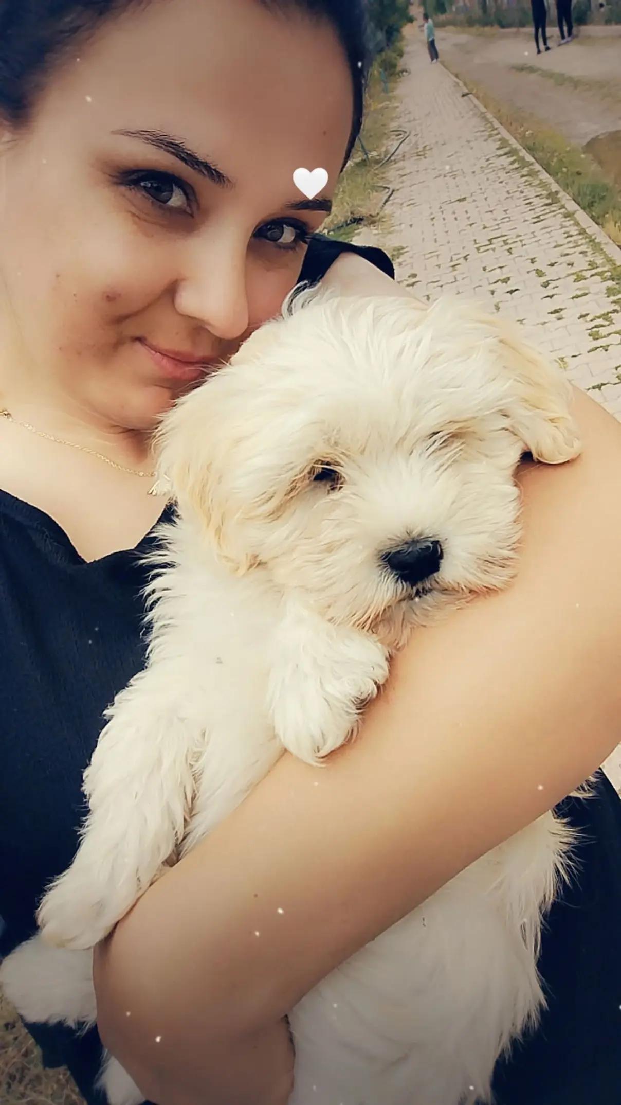 @💦🌼ἶ̇ῆეἶ ནმῆპჰἶ💦