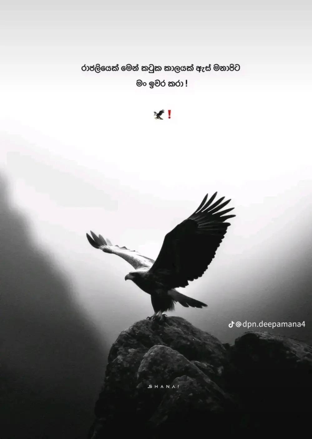 @𝗦ʜᴀᴋɪ...!💫