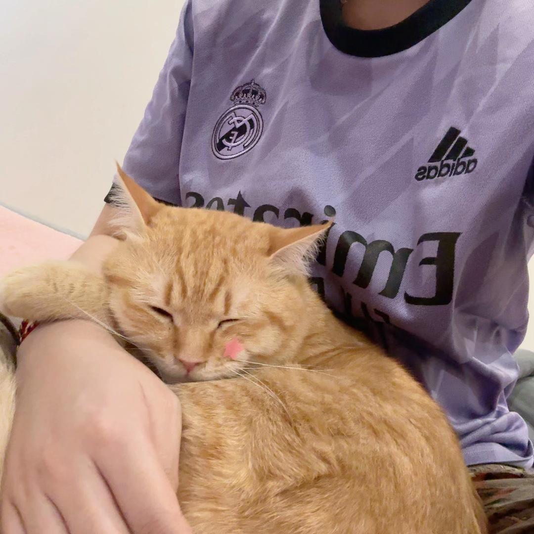 @Em pé Cam 🍊🧡