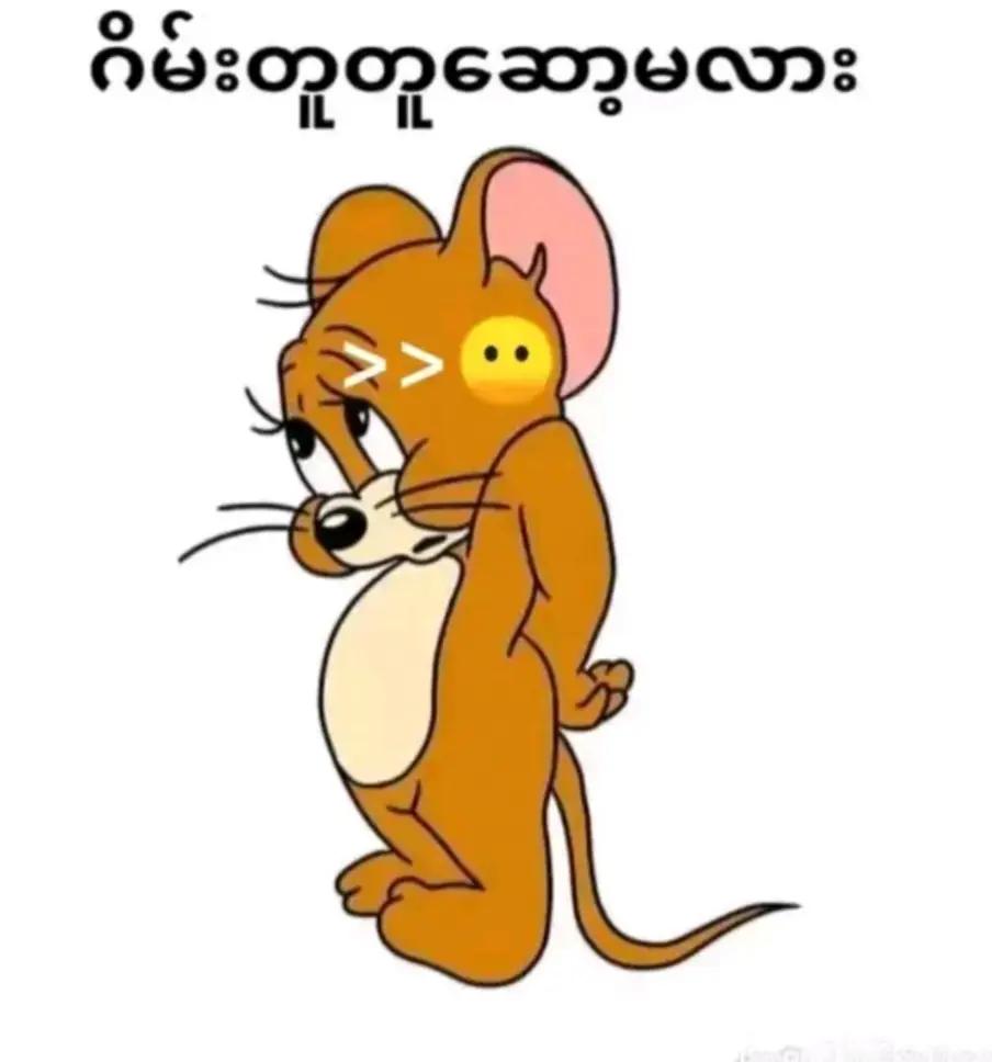 @Shwe 🌻🌷