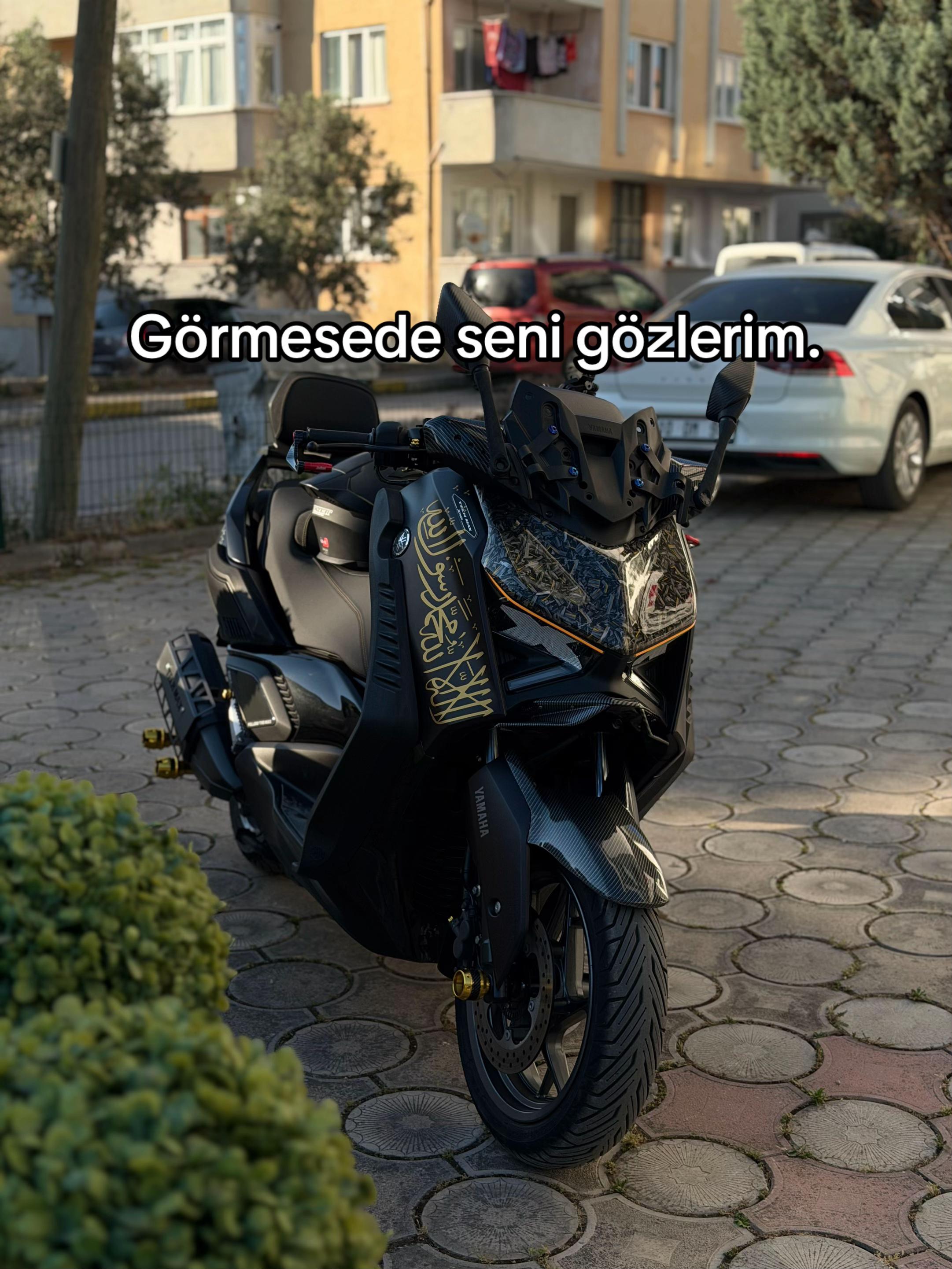 @Mikoderlerr