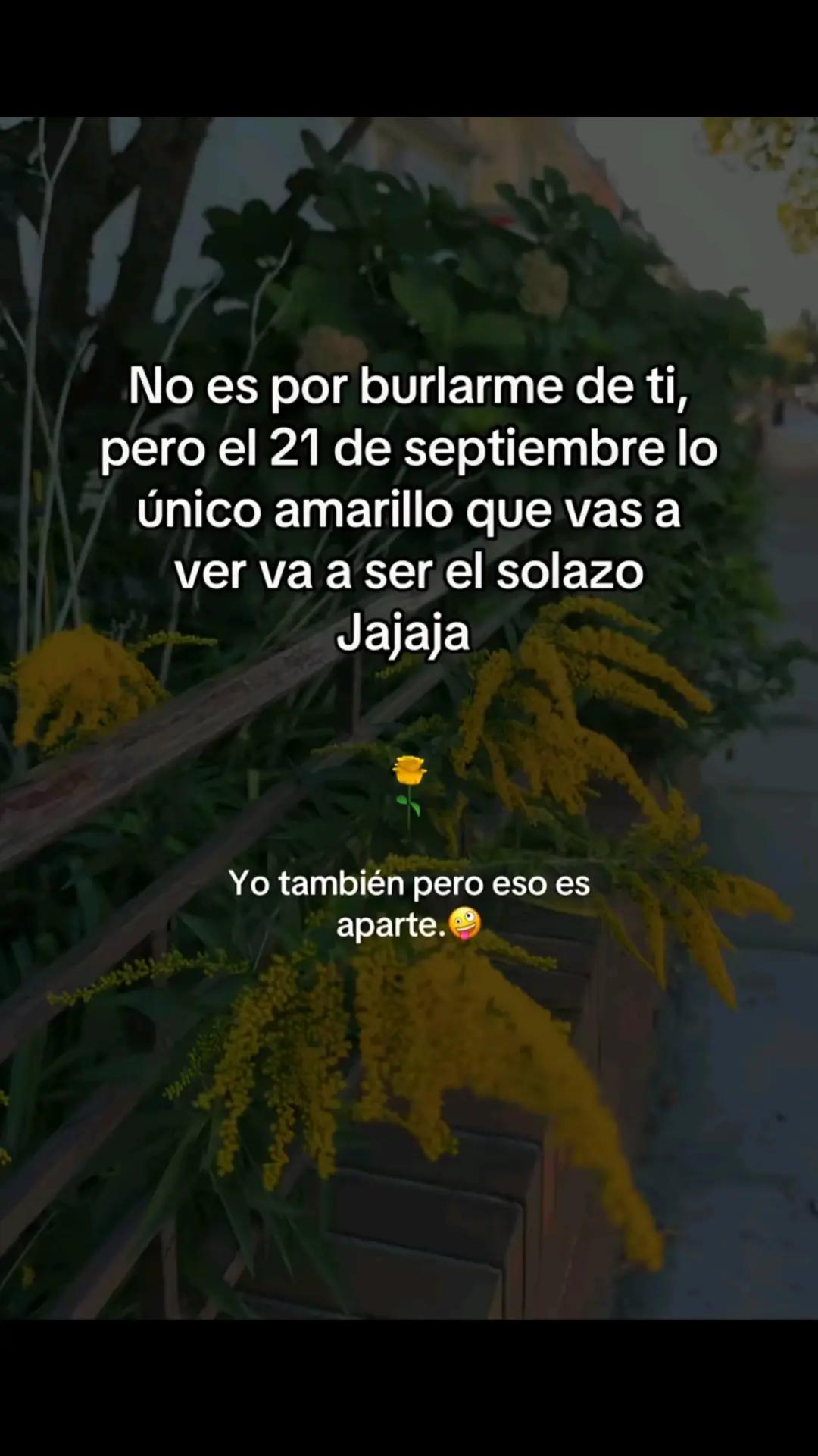 @pamela Rodriguez 💪🦁