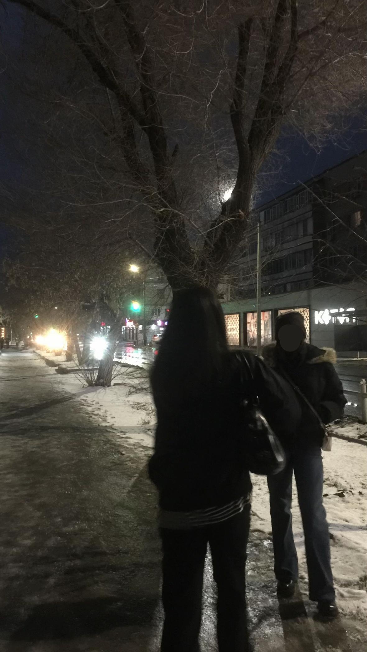 @дария