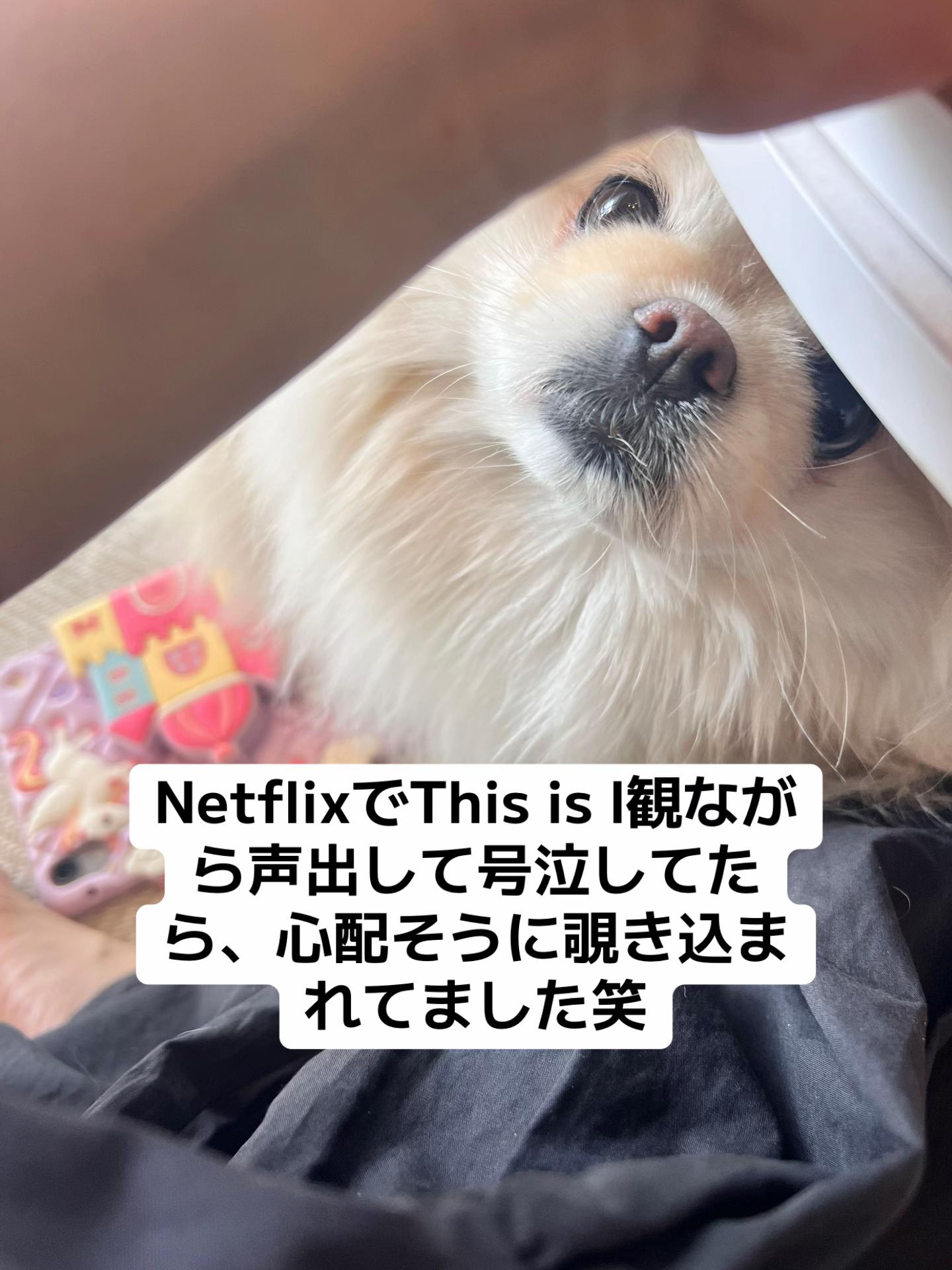 @なんこつ