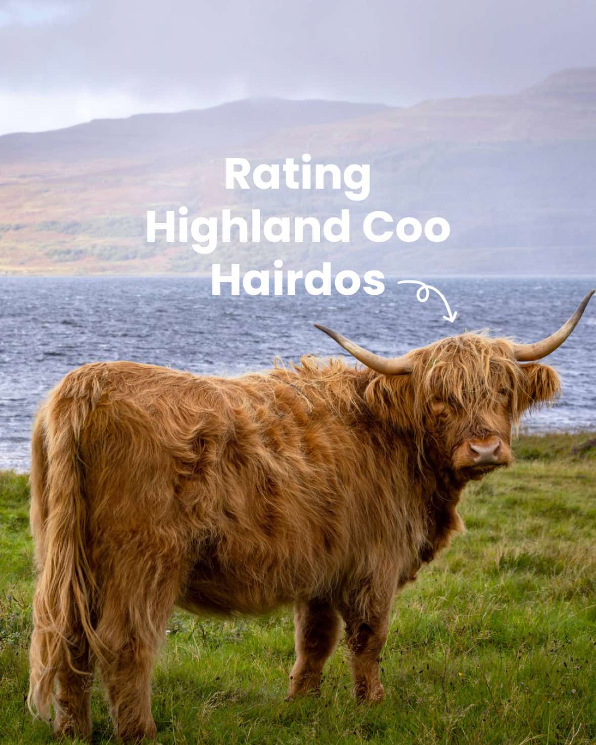 @VisitScotland