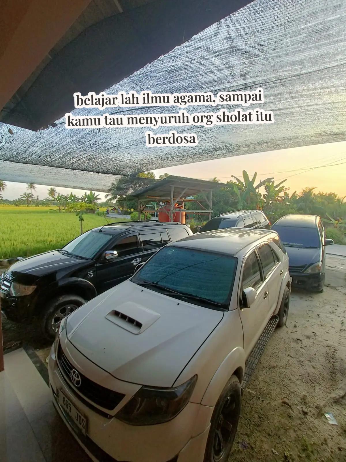 @Mie BALAB2Kd
