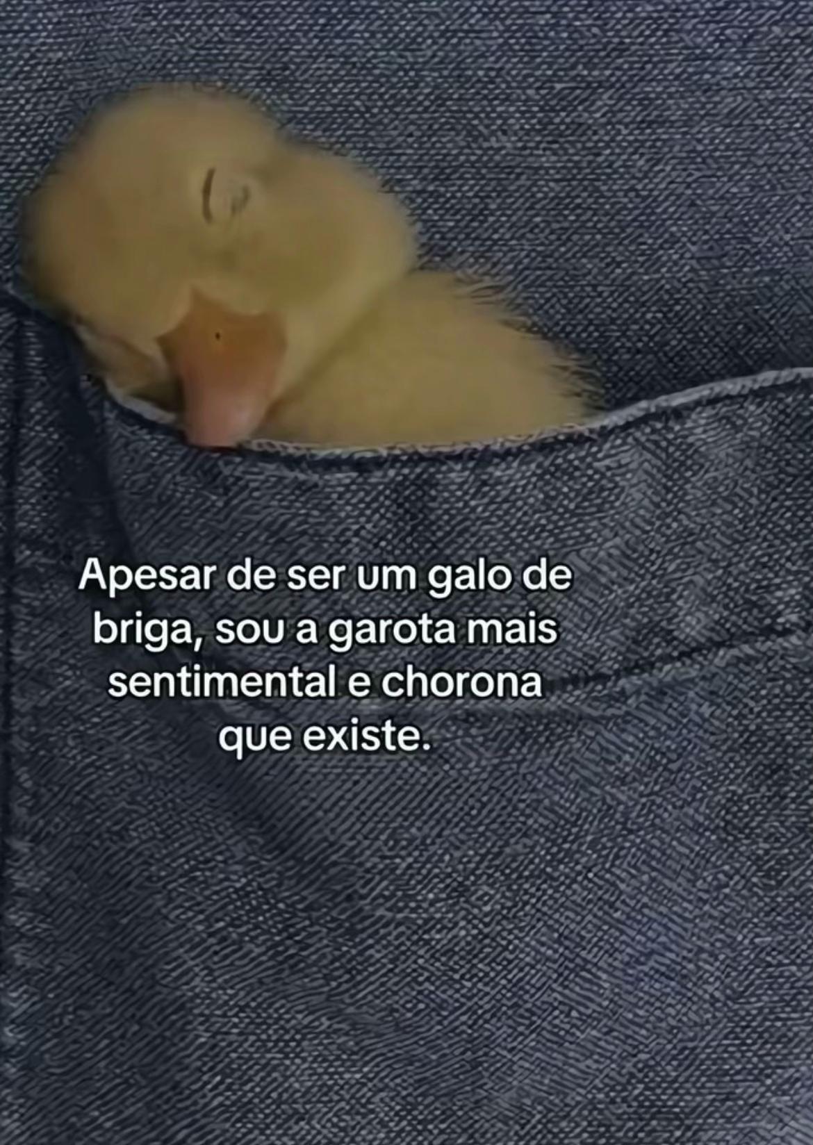 @Raphaela Cristin3137