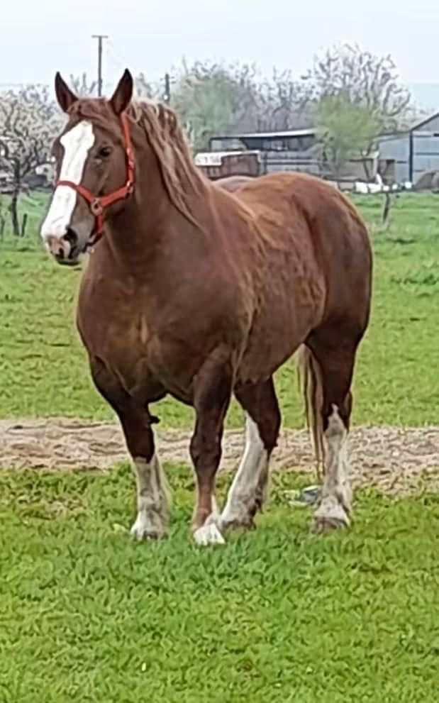 @🐴spartanu80🐴