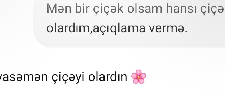 @Лейла✨️