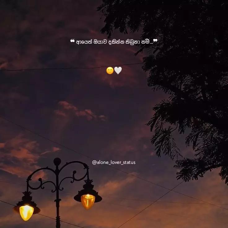 @🍃ᴀʟᴏɴᴇ_ʟᴏᴠᴇʀ_sᴛᴀᴛᴜs🥀🍂
