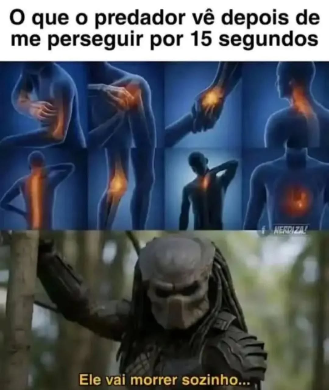 @jiu-jitsu 4 life Brasil