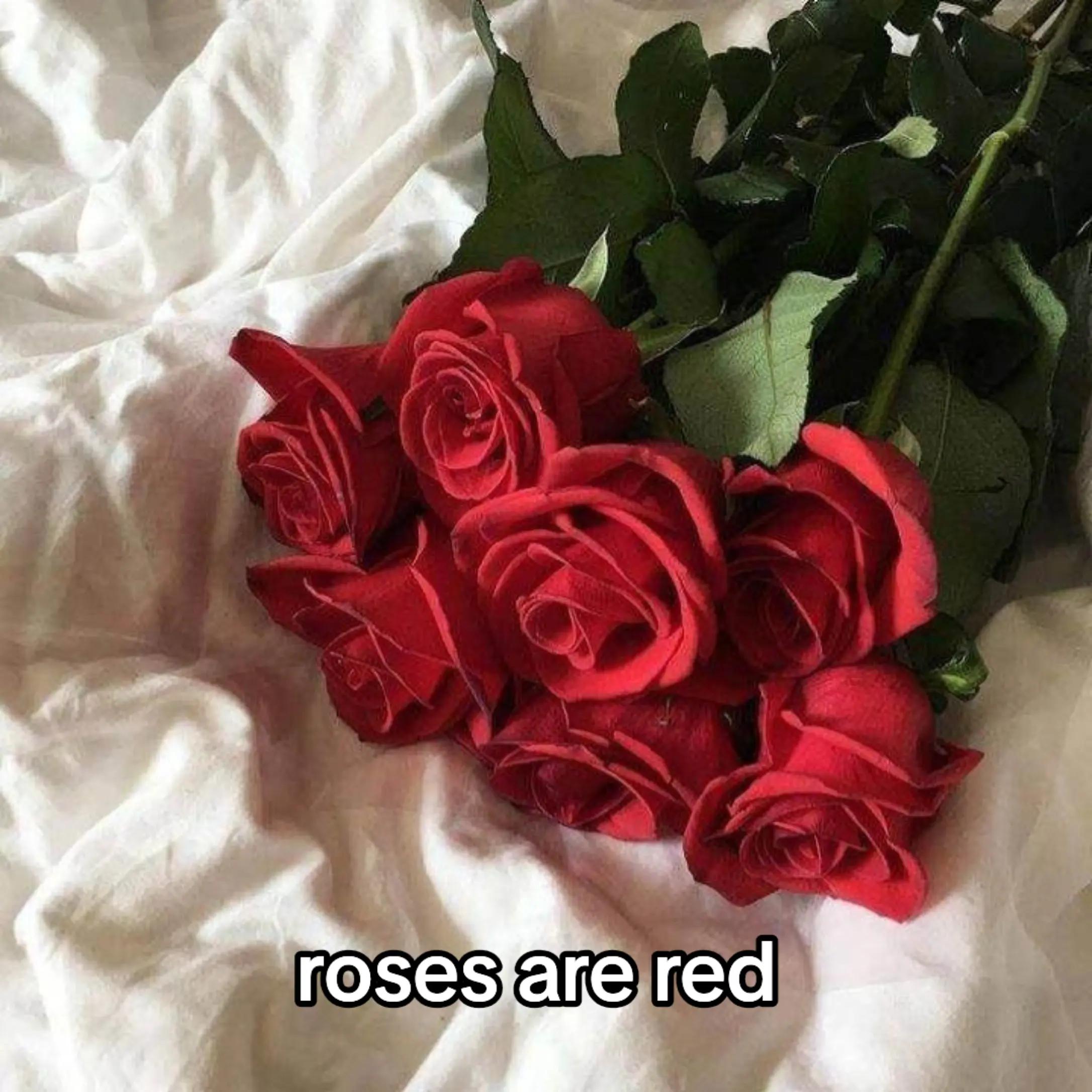 @Elmae