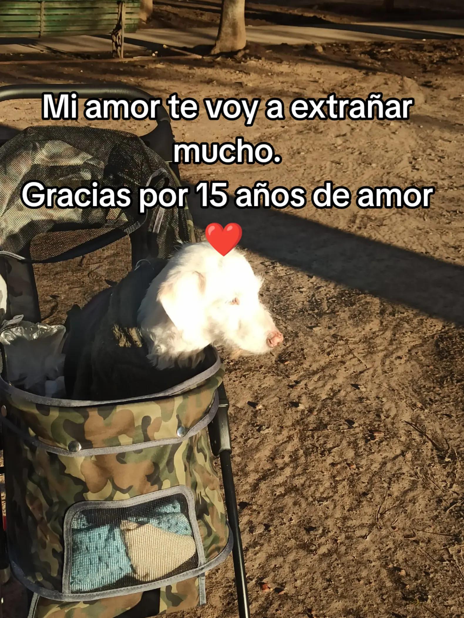 @tarot_y_renacimiento2