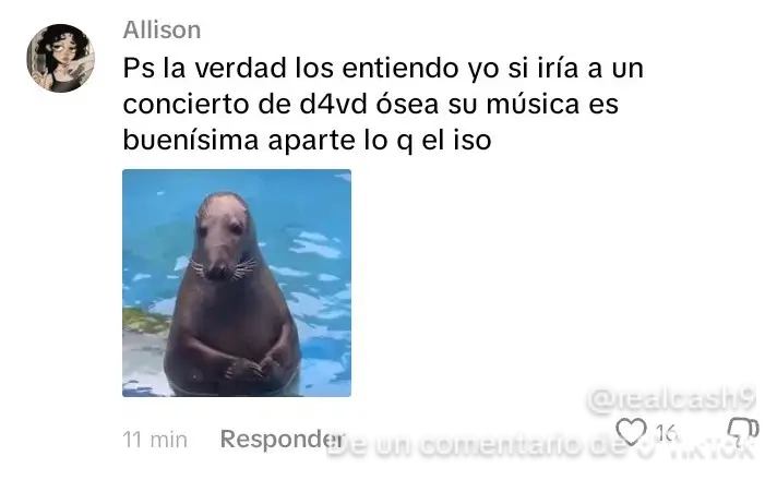 @chatanugget