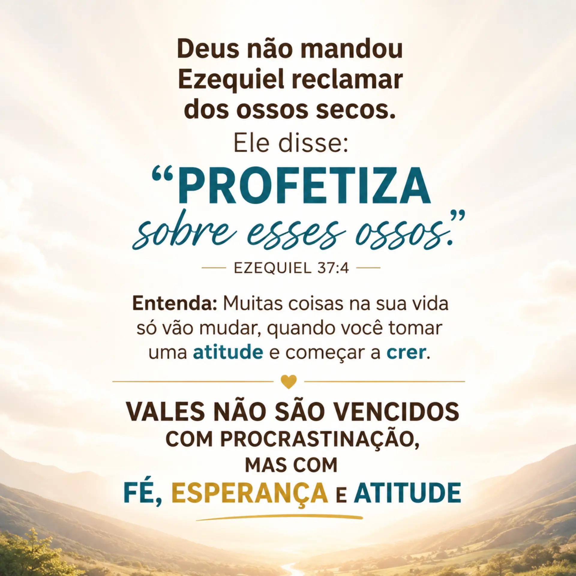 @Beth Freitas