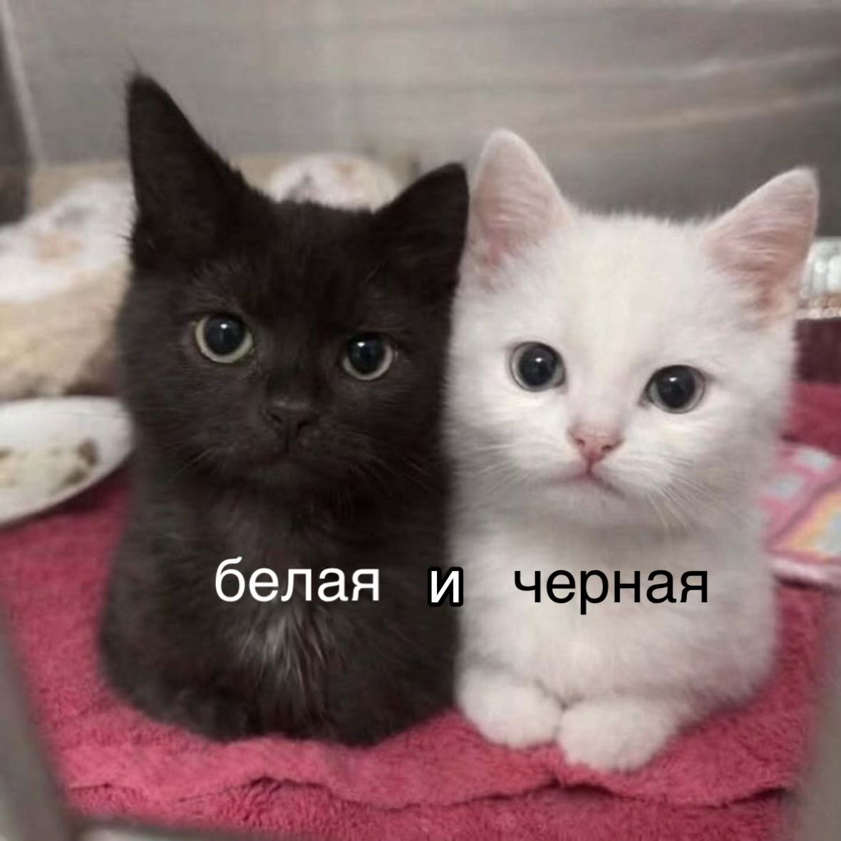 @насяя
