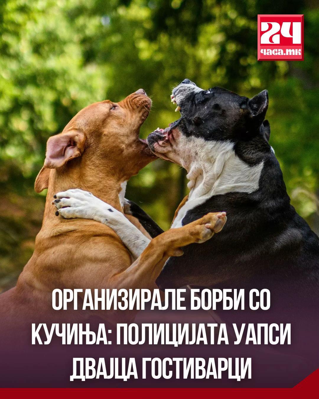@24chasa.mk / 24часа.мк