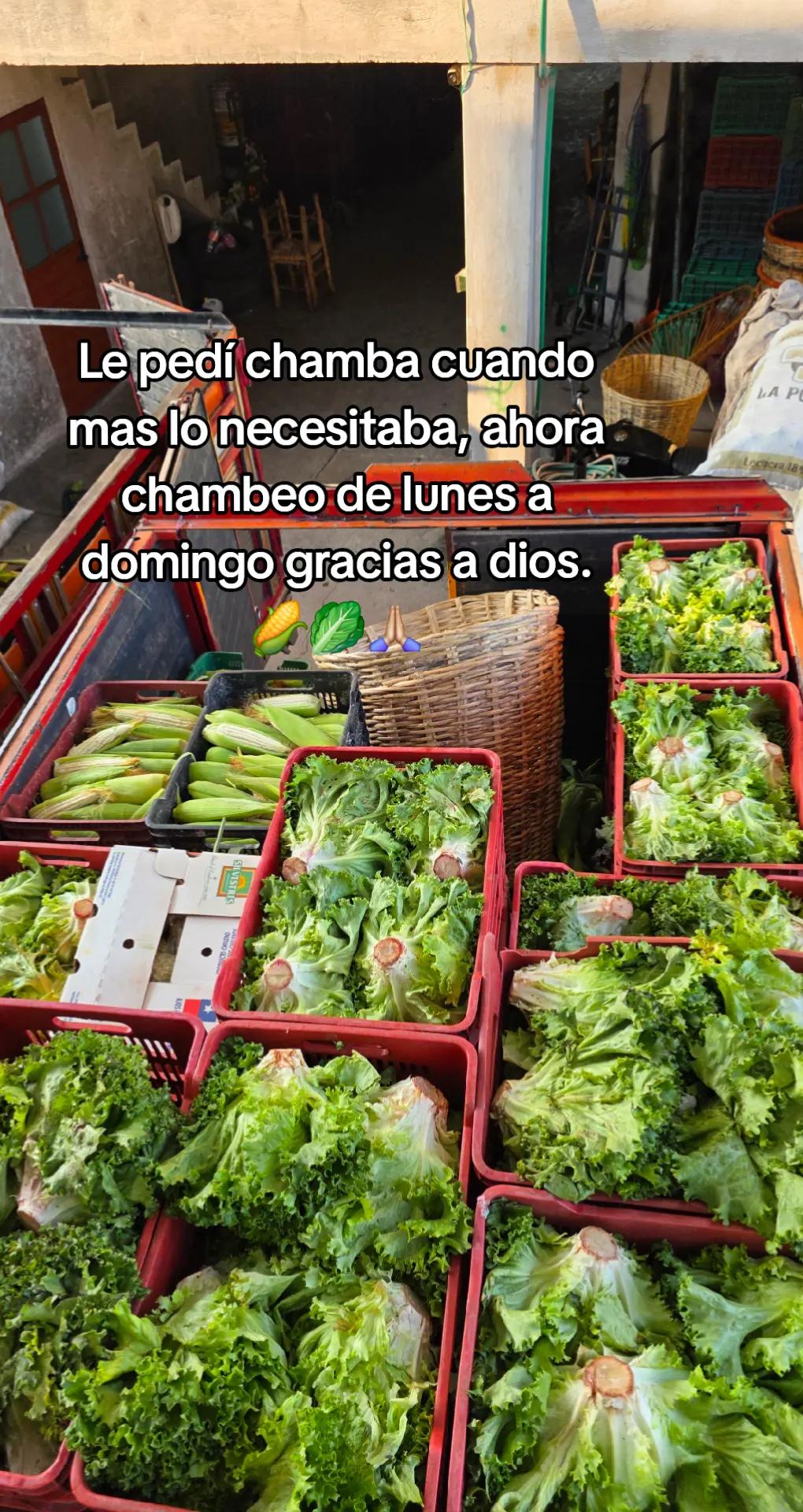 @Omar Rivera H 🌽🥔