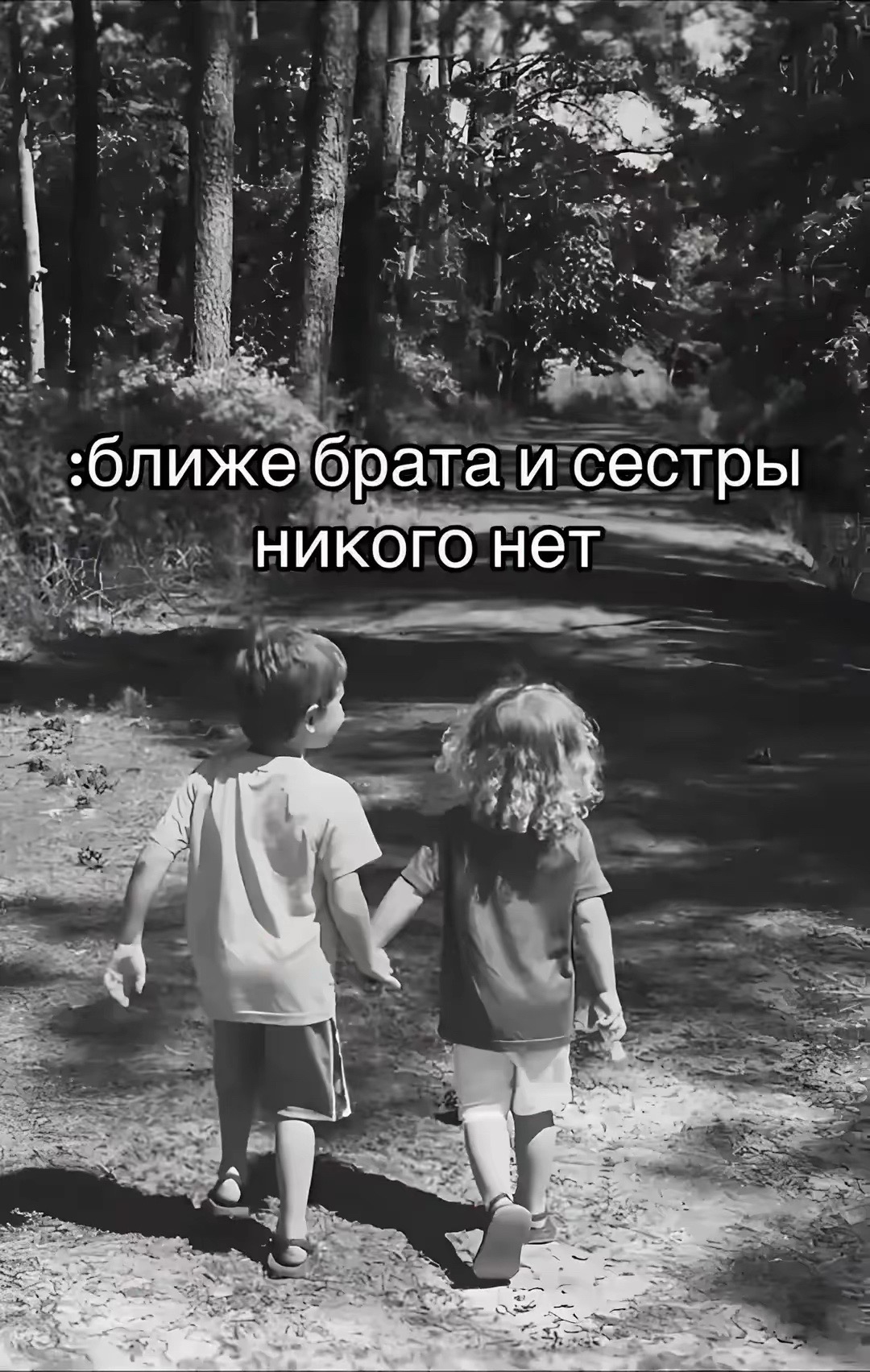 @Solovey.liz