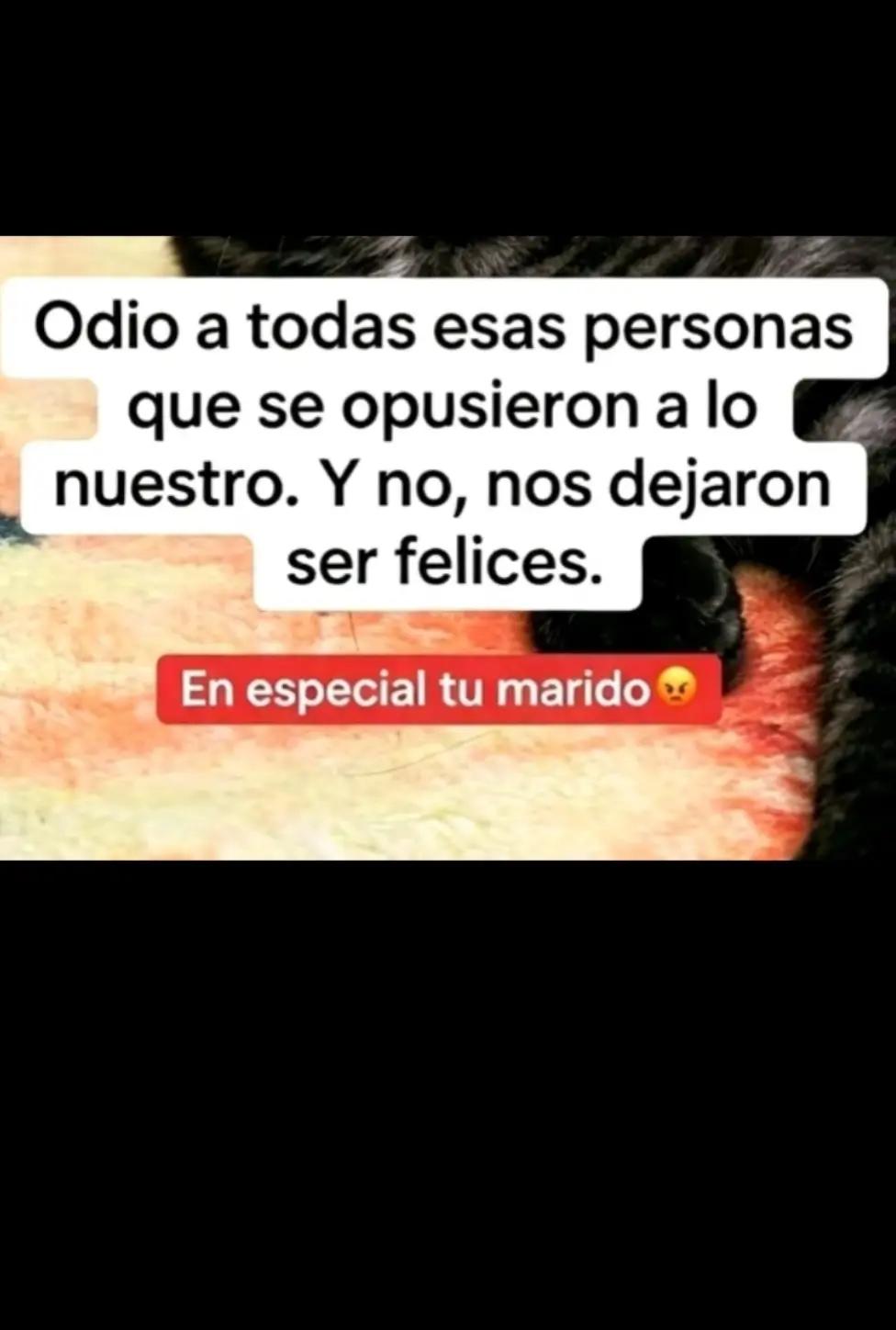 @Querubín