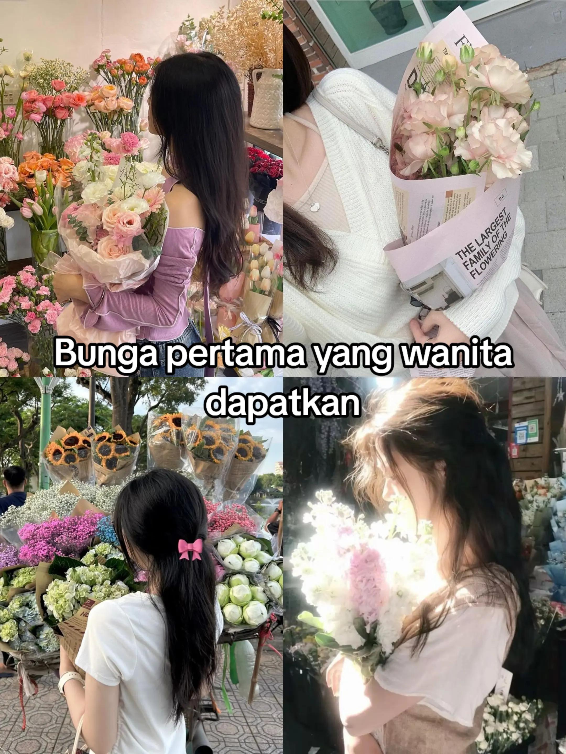 @pinterus