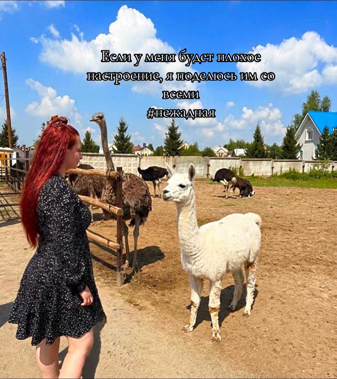@Чудо_Детка