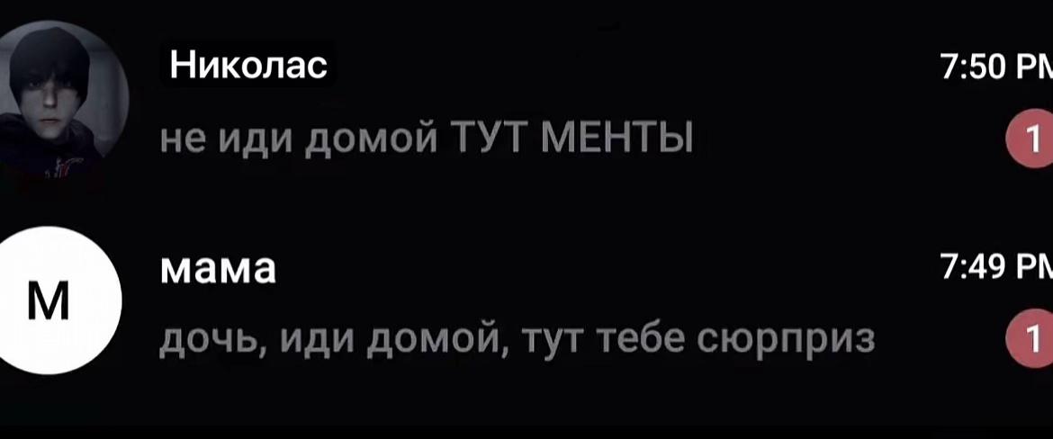 @Шима (＾ｰ^)
