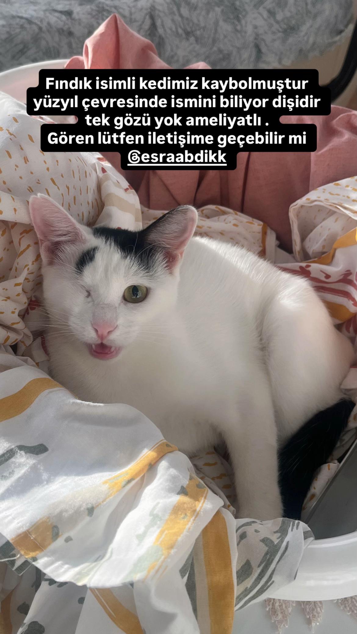 @esraabdikk