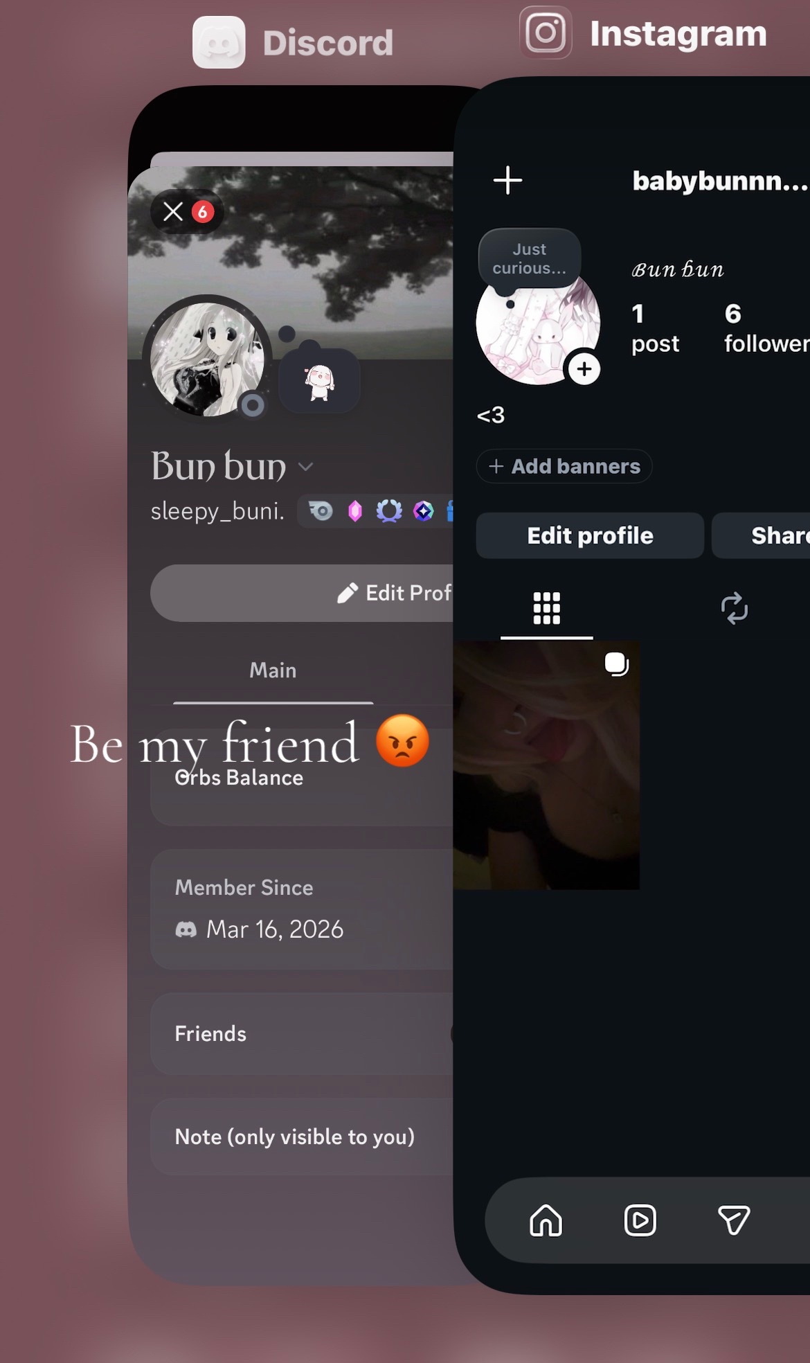 @૮꒰ ˶• ༝ •˶꒱ა
