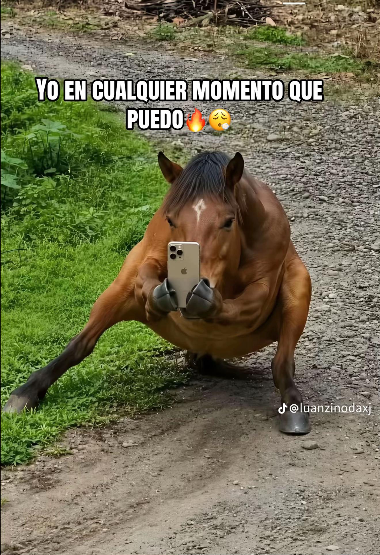 @Chuy 477🔰