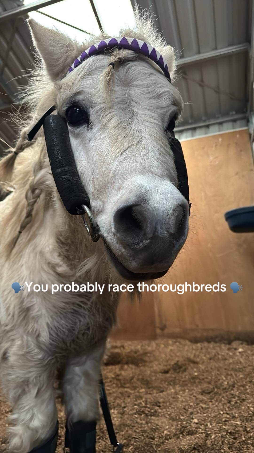 @Brynn.eq
