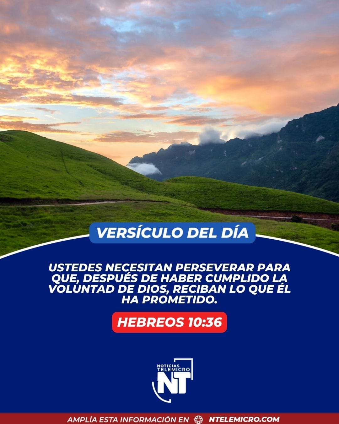 @Miguel Medina oficial